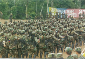 farc11
